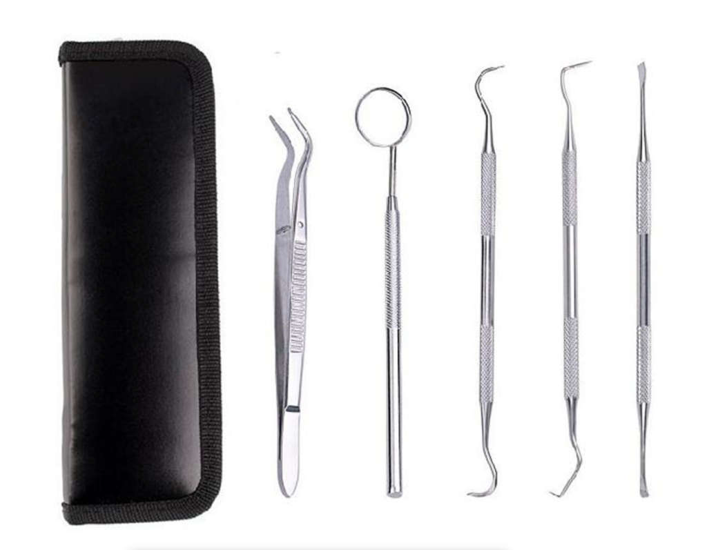 Personal Dental Kit - Plaque Remover Set - 5 Pieces