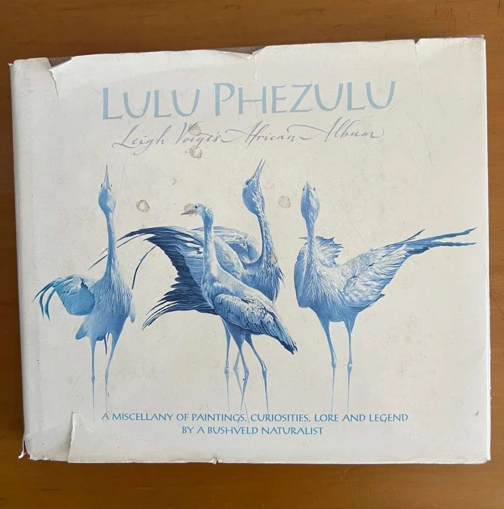 Leigh Voigt`s African Album: LULU PHEZULU