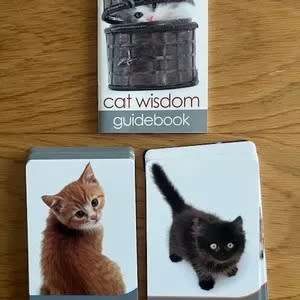 Cat Wisdom 45 cards & guidebook