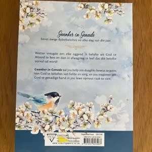 Geanker in Genade. 365 oordenkings wat jou verseker van God se beloftes