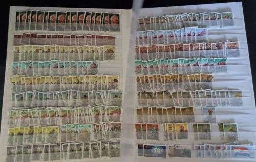 A4 Stock Album stacked with mostly used Union and RSA stamps