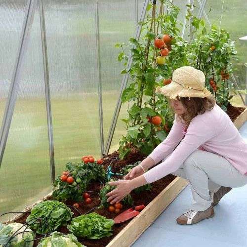 PATIO MIST COOLING KIT (10M)