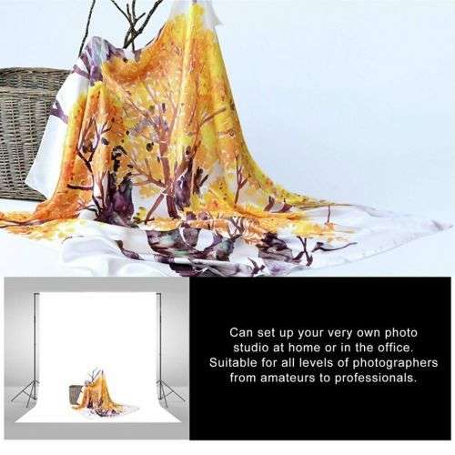 Pro Background Stand Photography Backdrop Support System Screen Holder Set