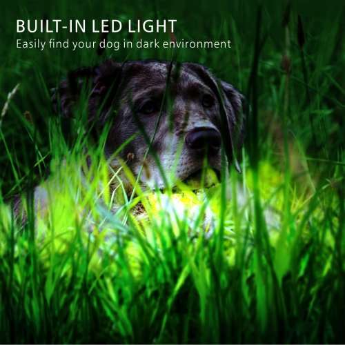 Dog Training Collar LR, Single Receiver, Remote, Long Range 800m, Rechargeable, 4 methods.