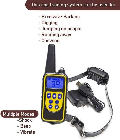 Dog Training Collar LR, Single Receiver, Remote, Long Range 800m, Rechargeable, 4 methods.