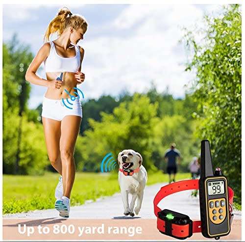 Dog Training Collar LR, Single Receiver, Remote, Long Range 800m, Rechargeable, 4 methods.
