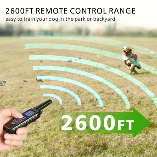 Dog Training Collar LR, Single Receiver, Remote, Long Range 800m, Rechargeable, 4 methods.