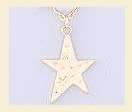 Stunning Gold plated Star pendant and chain