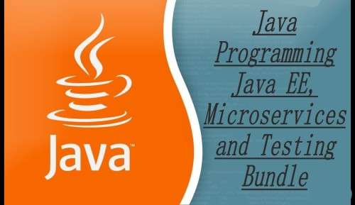 Java Programming Java EE, Microservices and Testing Bundle