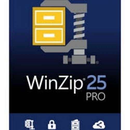Winzip 25 Professional 2020 Lifelong License