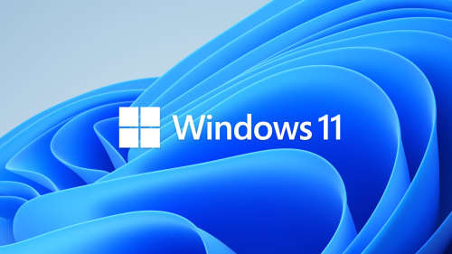 Windows 11 Pro license key- Free fast delivery
