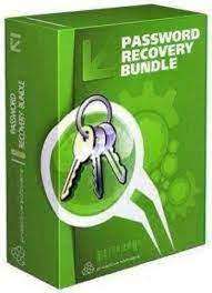 Password Recovery Bundle Enterprise 1 Device Lifetime Key