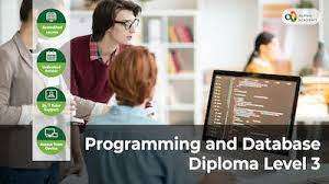 Programming and Database Diploma Level 3 course