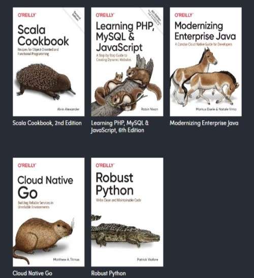 Programming Languages bundle