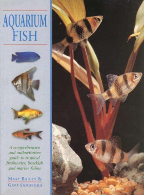 AQUARIUM FISH - Comprehensive guide to tropical, freshwater to marine etc,,