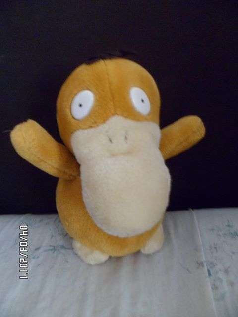 POKEMON TEDDY
