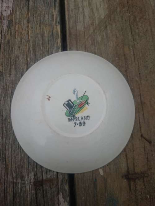 Nice small vintage collectors plate