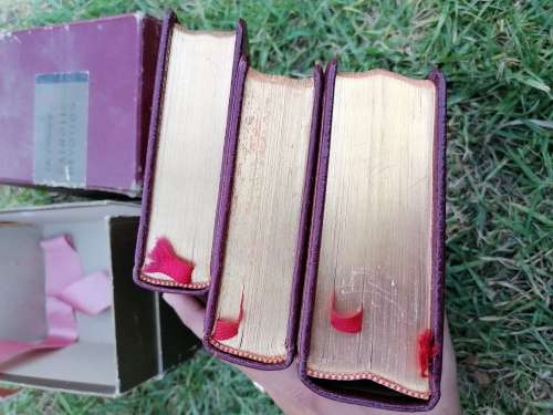 Library of Catholic Devotion Book Set