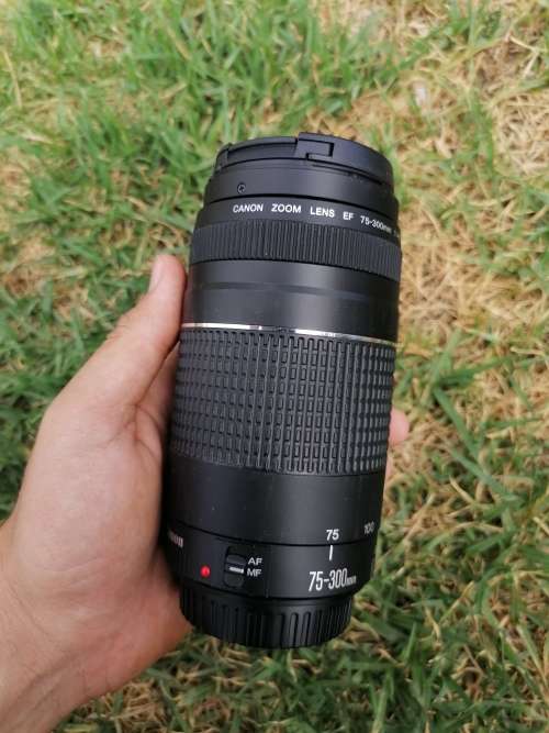Canon EF 75-300mm III Zoom Lens for Canon SLR Cameras