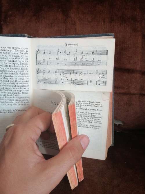 THE SCOTTISH PSALTER 1929  METRICAL VERSION AND SCRIPTURE PARAPHRASES  With Tunes