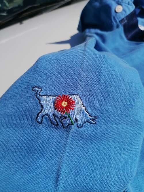 Rare find a old original no 4 blue bulls rugby jersey.