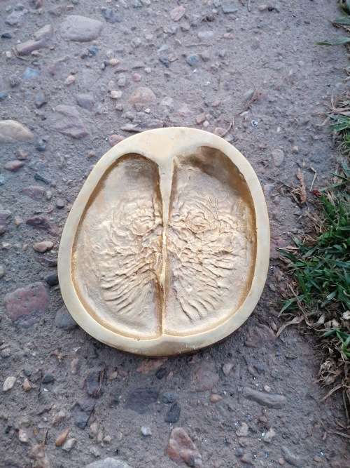 Rare find original African Buffalo spoor cast in brass by B. W GENIS 1980