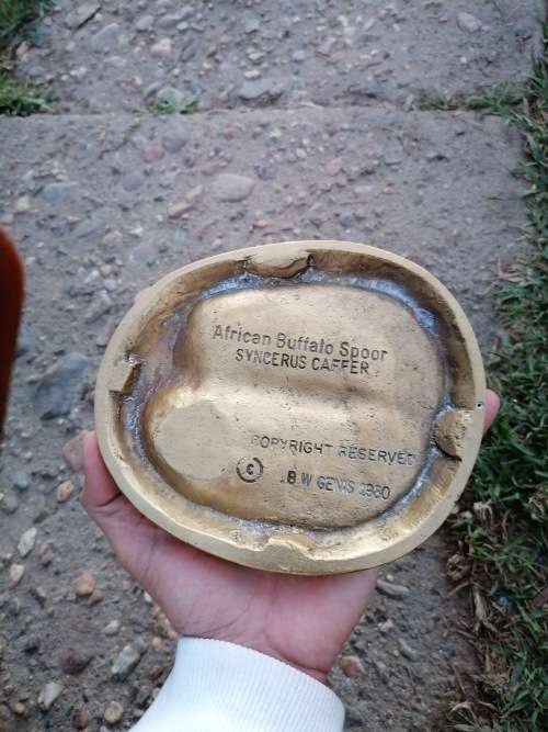 Rare find original African Buffalo spoor cast in brass by B. W GENIS 1980