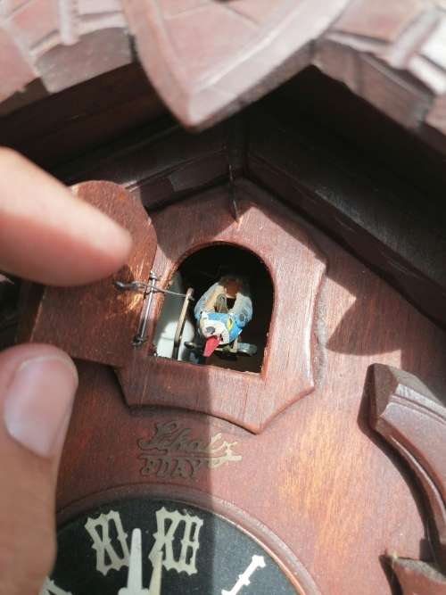 Vintage 1950`s Schatz Cuckoo Clock 8-Day