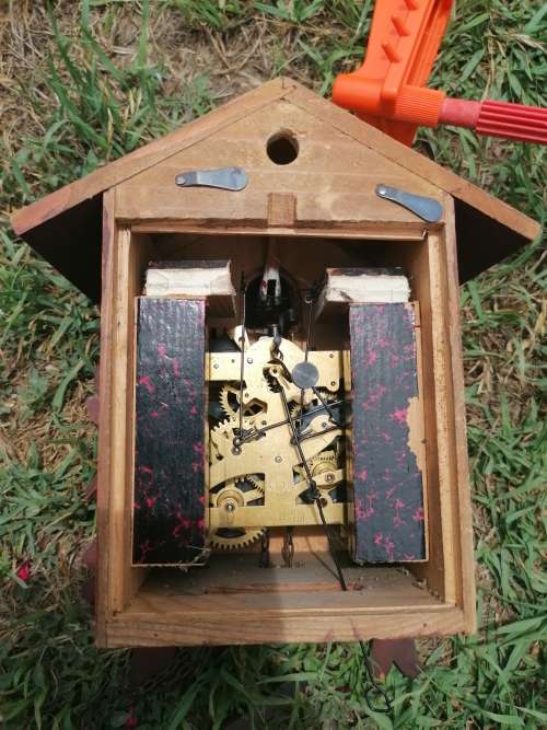 Vintage 1950`s Schatz Cuckoo Clock 8-Day