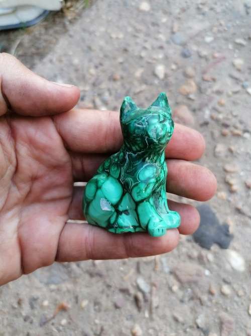 MALACHITE CAT