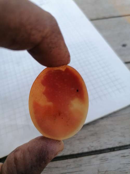 Vintage cameo carving