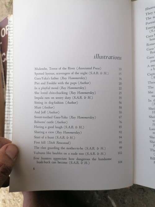 Gara-Yaka  The Story of a Cheetah  Desmond Varaday