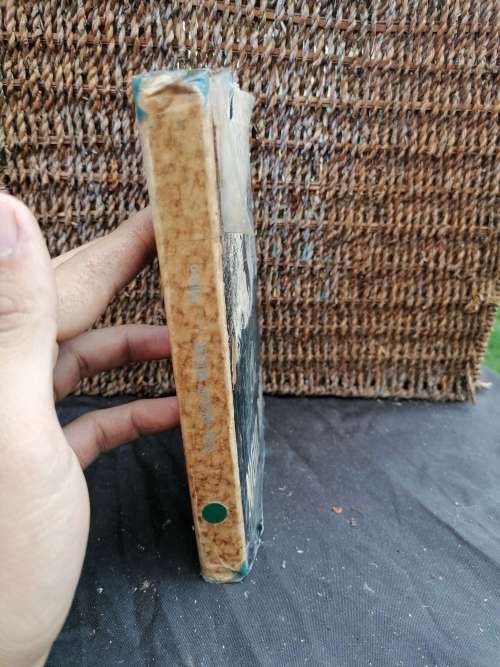 the night rider by mikro 1950