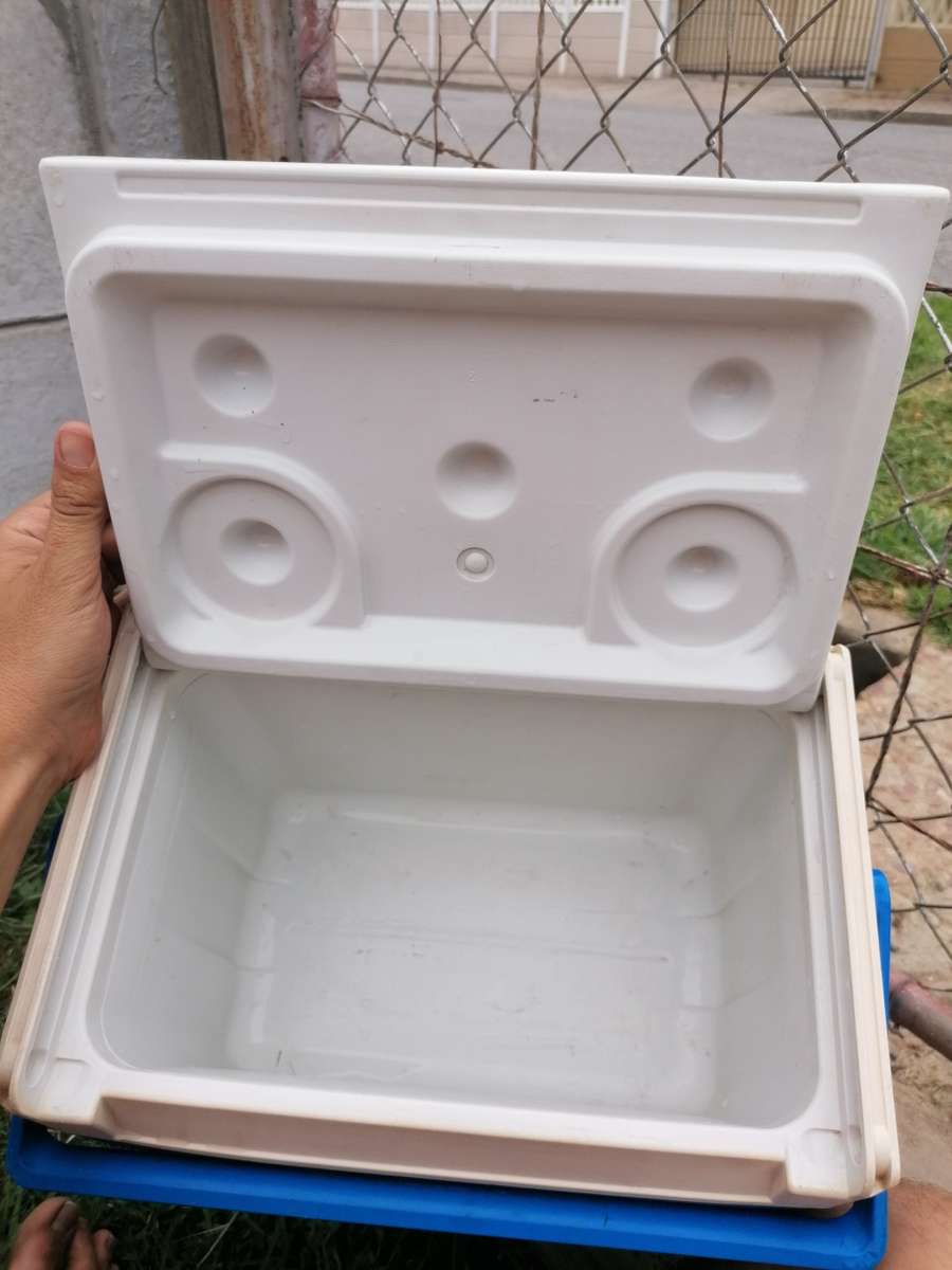 Rare Coleman FlipLid 10 cooler box