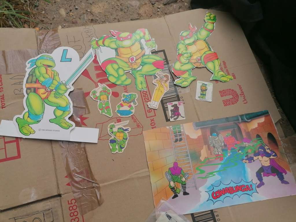 1990s ninja turtle cut outs