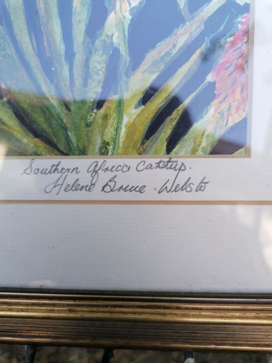 Framed water color painting by Helene bruce Webster