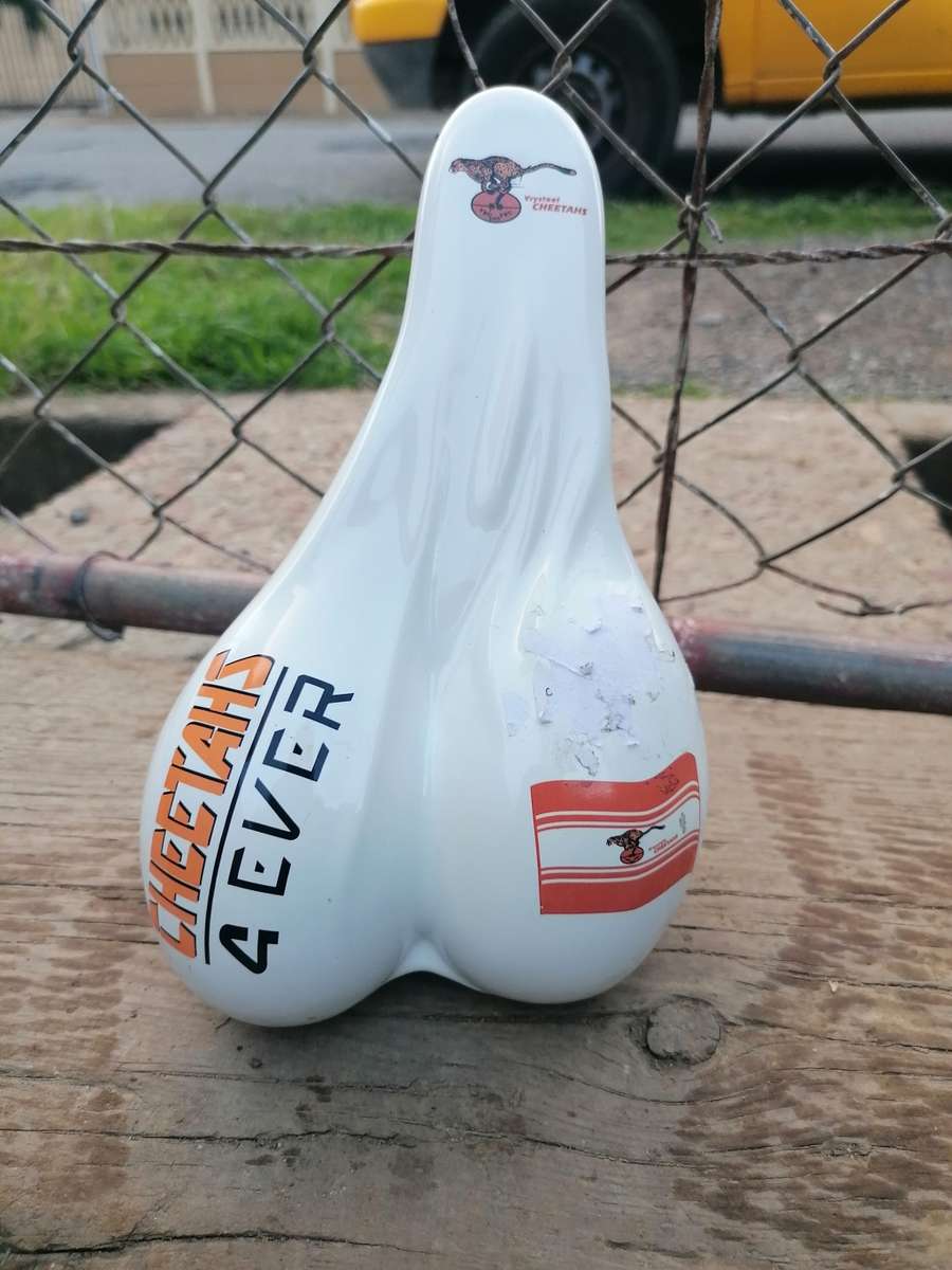 Cheetah rugby Money Box