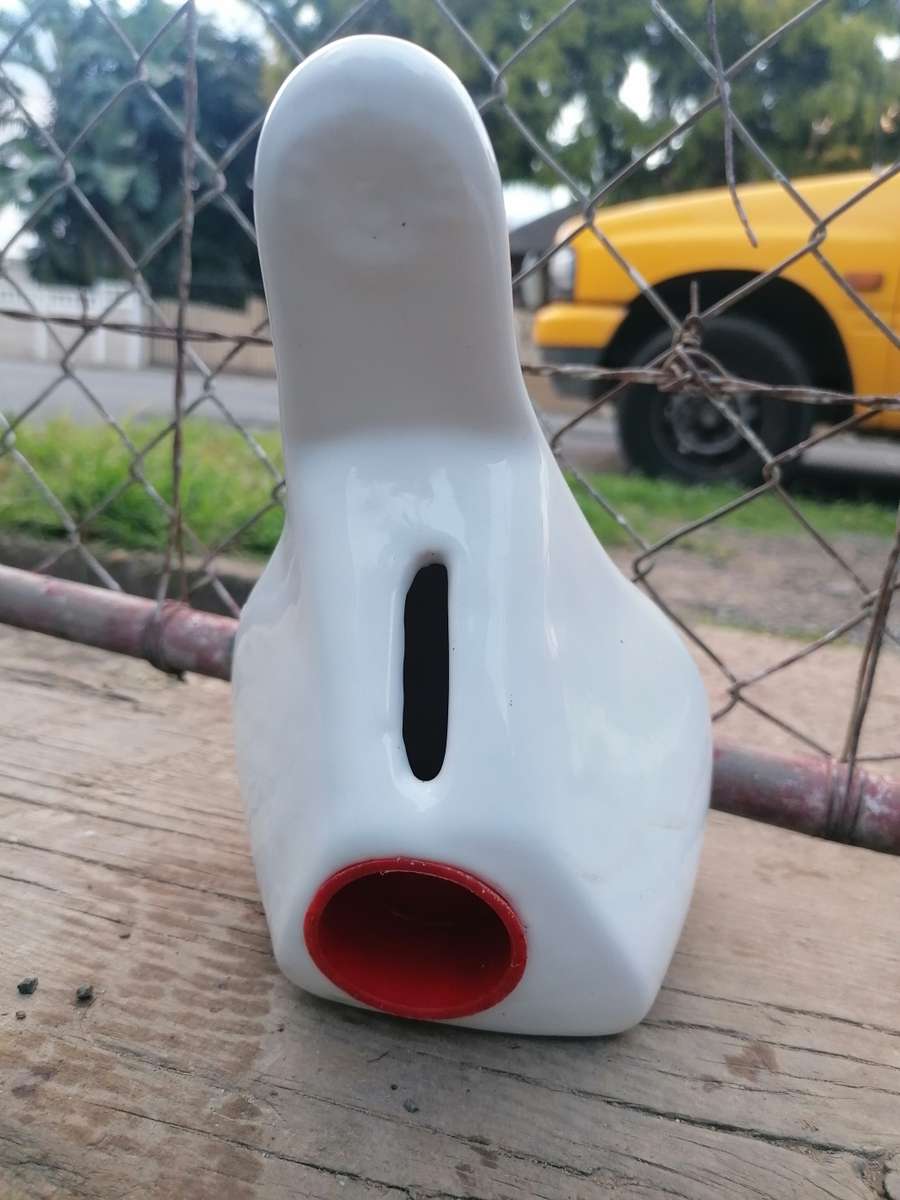 Cheetah rugby Money Box