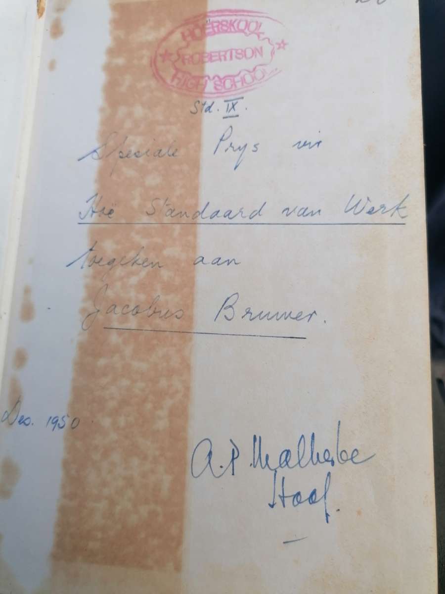 They Walk in the Night Author:Rosenthal, Eric