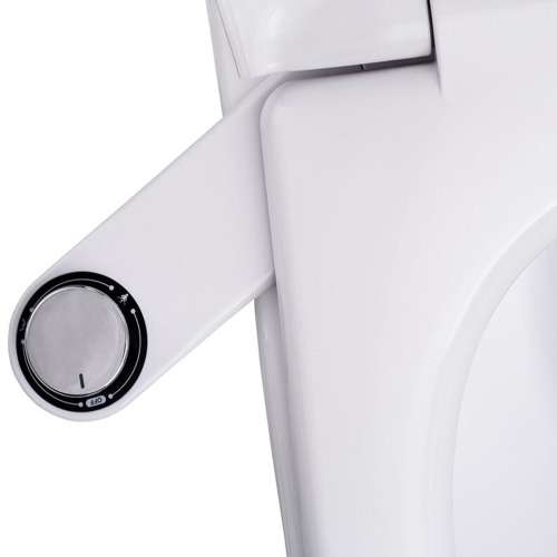 Multifunction toilet seat bidet