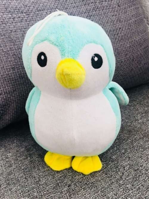 **Bargain - Super cute Soft Teddie **