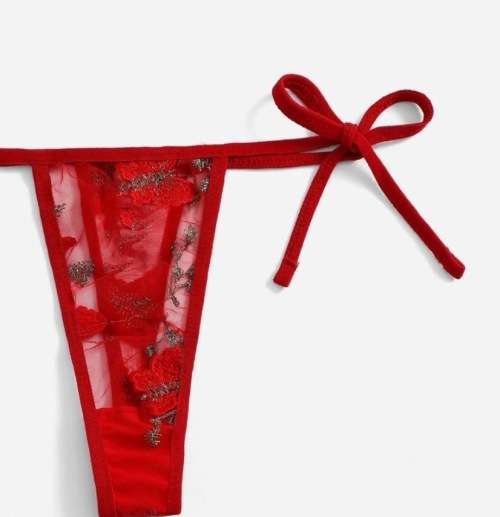 **Winter Sizzling Deals : Floral Embroidered Mesh triangle lingerie set**