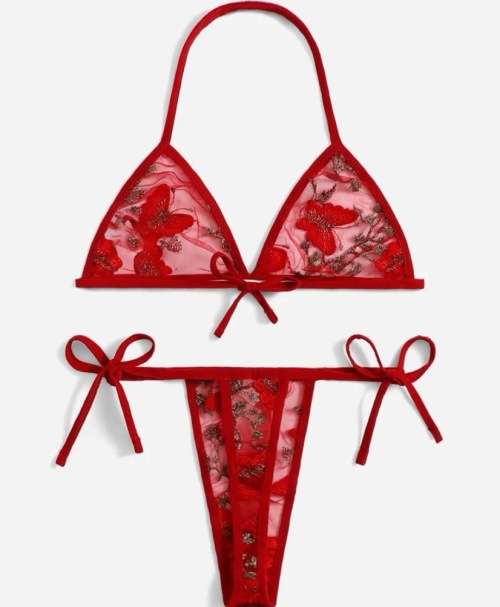**Winter Sizzling Deals : Floral Embroidered Mesh triangle lingerie set**