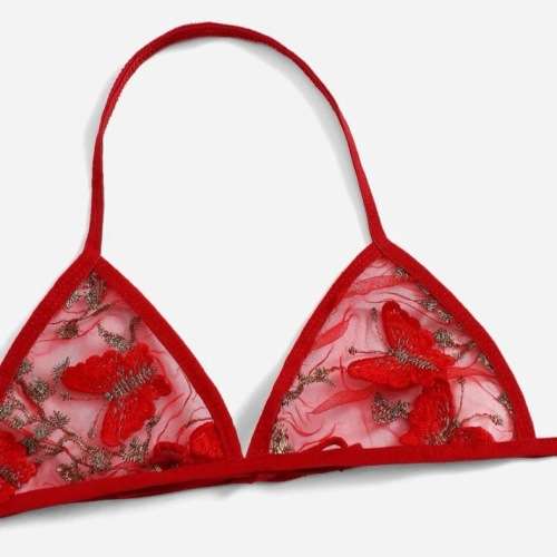 **Winter Sizzling Deals : Floral Embroidered Mesh triangle lingerie set**