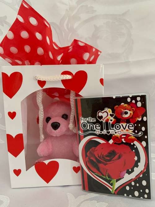 **Warehouse Clearance : Gorgeous teddy bear and notebook Gift combo**