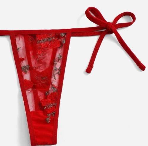 **June Specials : Floral Embroidered Mesh triangle lingerie set**