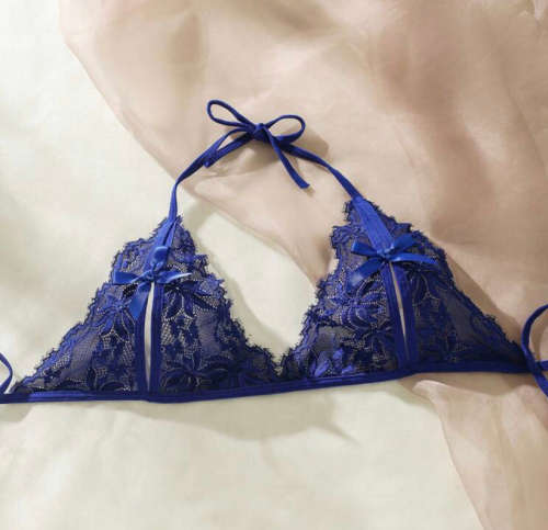**80% Off : Floral Embroidered Mesh triangle lingerie set**