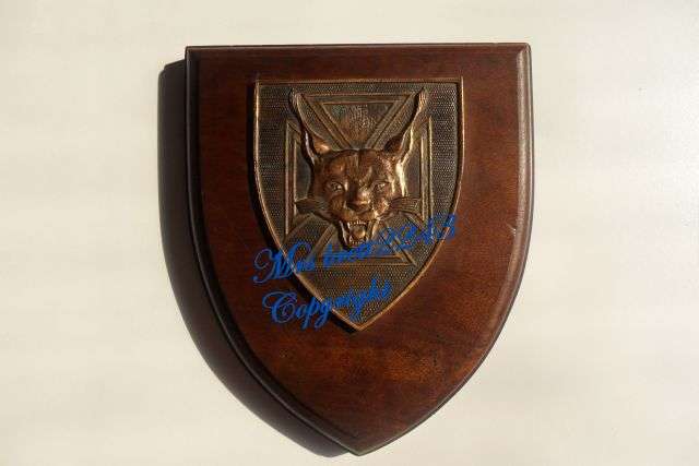 7 SOUTH AFRICAN INFANTRY PLAQUE (7 SAI)