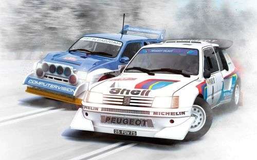 Peugeot 205 T16 E2 & MG Metro 6R4
