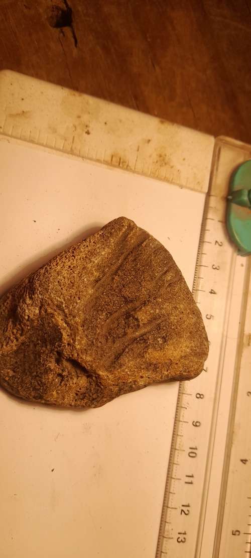 PREHISTORIC FOSSIL LOT